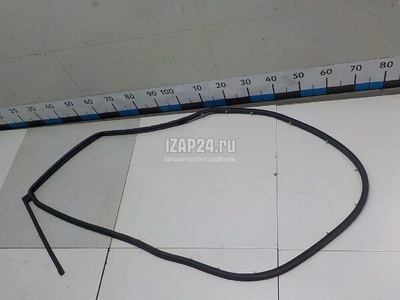 72810SMGE01 Уплотнитель двери Honda Civic 5D (2006 - 2012)