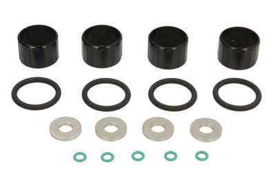 ENT250503 подкладка уплотнитель инжектора комплект citroen c4 c5 jumpy 2.0 hdi