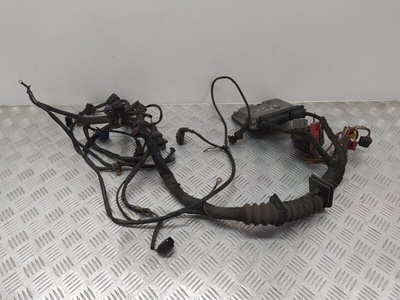 038906018R Проводка двигателя Audi A4(B5) 1998