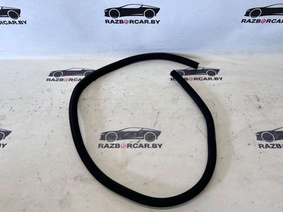 A2196970151 Уплотнитель двери передней правой Mercedes CLS W219 2006 , 2196970151