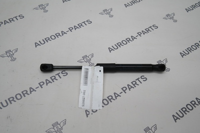 51237419387 Амортизатор капота BMW 3-Series G20,G21 2018