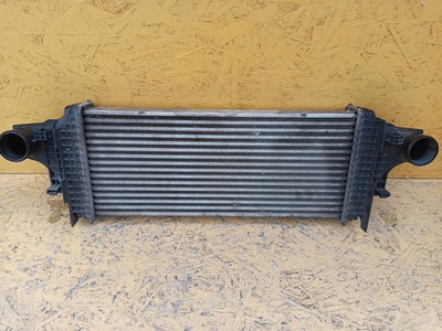 A2515000000 Интеркулер Mercedes-Benz M-Класс W164 2008 ,A1645001900