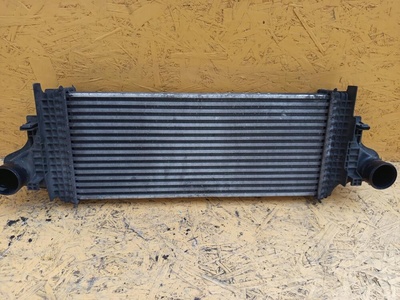 A2515000000 Интеркулер Mercedes-Benz R-Класс W251 2008 ,A1645001900