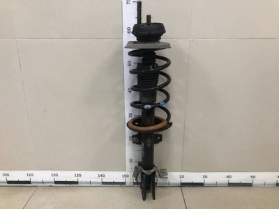 8200813791 Амортизатор передний Renault Renault Duster 2012>
