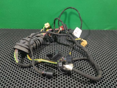 4B0971029B Проводка двери передней левой Audi A6 C5 (S6,RS6) 2002 4B0 971 029 B, 4B0 971 029F