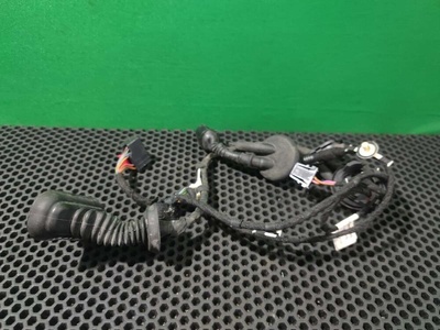 4F1971687A Проводка двери задней левой Audi A6 C6 (S6,RS6) 2004 4F1 971 687 A