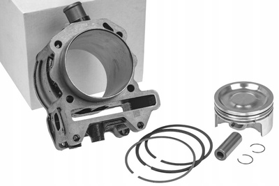 TC201.200 цилиндр комплект tec std 300cc , aprilia / derbi / gilera / piaggio / vespa 300