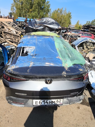 C589F2602030400 Амортизатор задний Changan Lamore 2023-