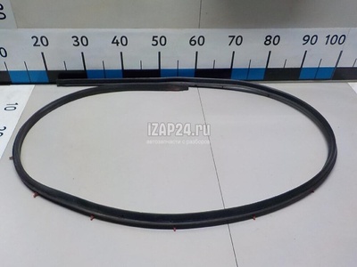 80831JD00A Уплотнитель двери Nissan Qashqai (J10) (2006 - 2014)