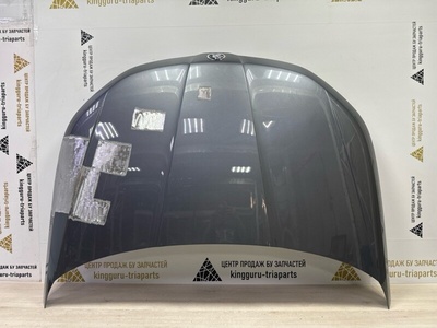 565823031A Капот Skoda Kodiaq 1 NS7 до Рестайлинг 2016-2022