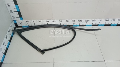 8R0837440G Уплотнитель стекла двери VAG Q5 [8R] (2008 - 2017)