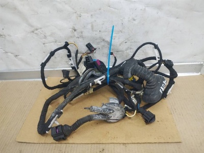 4F1971029C Проводка двери передней левой Audi A6 C6/4F 2005 ,4F1971035C,4F0971765