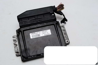 S110630003B блок управления oem 8200116535