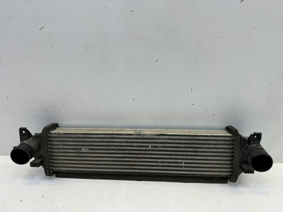 302000507AA Интеркулер Exeed VX M36T 2020-