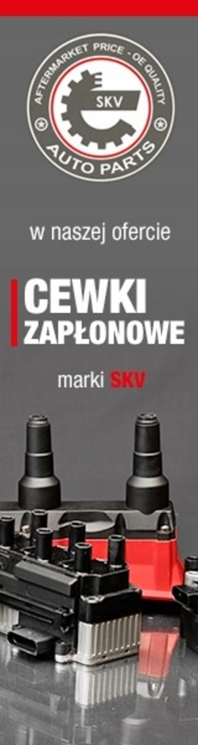 03SKV260 катушка зажигания esen skv