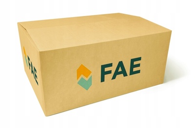41255 переключатель , свет заднего вида fae