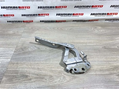 3C0823301E Петля капота VOLKSWAGEN Passat B6 2009 , 3C0823301D, , 3C0823301A, 3C0823301B, 3C0823301C