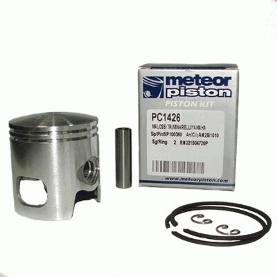 PC1426080 meteor