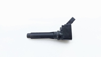 04C905110E Катушка зажигания Volkswagen Tiguan MK2 2020 , 18666B, 04C905110N