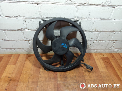 300000801 Вентилятор радиатора Citroen C4 2009 ,1253C8
