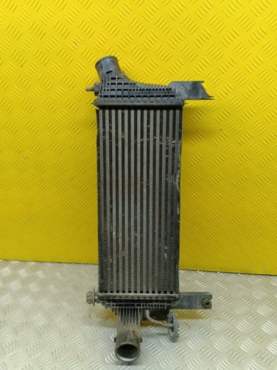 144615X00A Интеркулер Nissan Pathfinder (R51M) 2004-2013 Внедорожник 2008 , V4454002