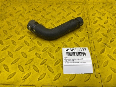 8101014XEN01 Трубка Haval dargo N/A 2023