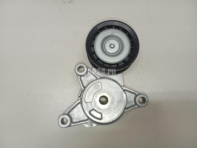 F3J121025010AB Ролик-натяжитель ручейкового ремня Chery Exceed VX 2021
