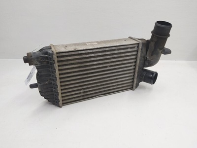 1340934080 Интеркулер Citroen Jumper (2002-2006) 2005