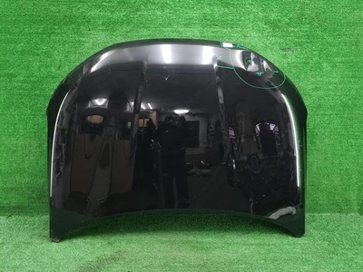 8402120XST01AD Капот Haval Jolion (2021-2024)