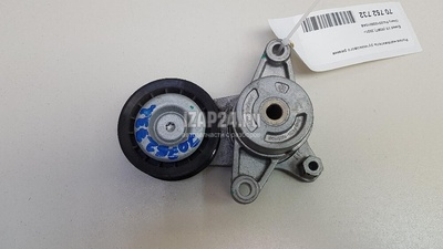 F4J201025010AB Ролик-натяжитель ручейкового ремня Chery Exceed VX 2021