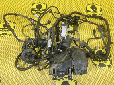 24012JD10C Проводка подкапотная Nissan Qashqai J10E 2008