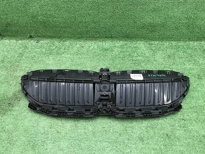 51745A22C60 Решетка радиатора Bmw 3er G20 (2018-2022)