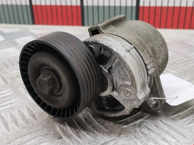 9497331 Натяжитель ремня генератора (приводного поликлинового ремня Volvo S40_V40 1 (1996-2004) 2001 ,31251250