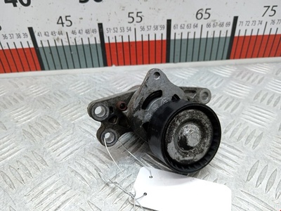 9652046680 Натяжитель ремня генератора (приводного поликлинового ремня Citroen Xsara Picasso (1999-2012) 2005 ,5751C8