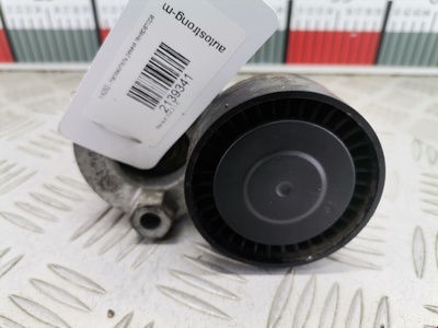 8200048486 Натяжитель ремня генератора (приводного поликлинового ремня Renault Clio 2 (1998-2005) 2001 ,11955BN703