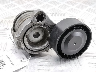 F556587 Натяжитель ремня генератора (приводного поликлинового ремня Opel Antara (L07) (2006-2017) 2008 ,96440419