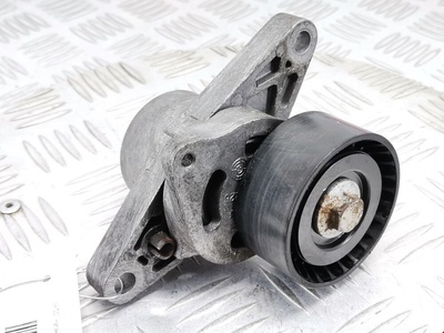 9638976580 Натяжитель ремня генератора (приводного поликлинового ремня Citroen Xsara Picasso (1999-2012) 2002 ,5751A2