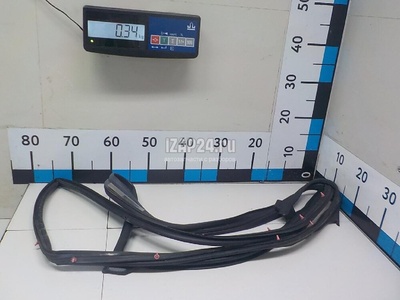 808311BA0A Уплотнитель двери Nissan EX/QX50 (J50) (2008 - 2017)