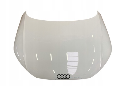 8S0823029BQBG audi tt 8s капот ly9c