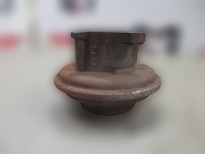81305500116 Подшипник выжимной двигателя D2066 MAN MAN TGA, TGS, TGX