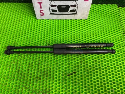 8W0823359B Амортизатор капота Audi S4, A4 (B9), 8W2, 8W5, 8WH Audi A4 B9 (2015—2020) 8W5 2017