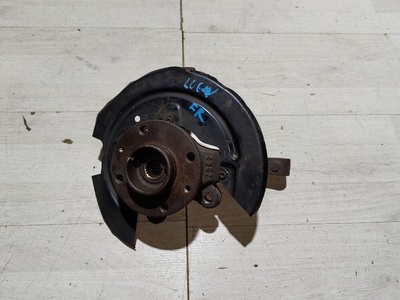 6001548866 Поворотный кулак Renault Logan I (2004—2009) Renault Logan I (2004—2009) 2006