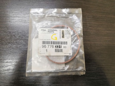 9677633180 Уплотнитель (прочее) Citroen Jumper 2 2009