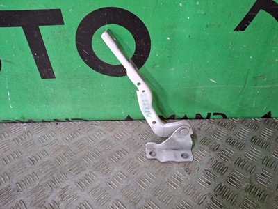 J268402030DY петля капота Chery Tiggo 7 Pro T1E 2020-нв , J268402030, 4