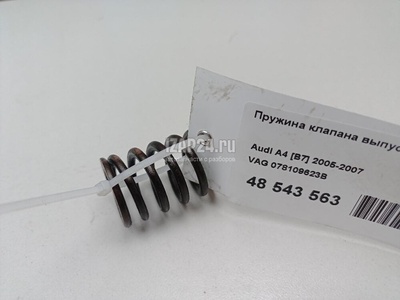 078109623B Пружина клапана выпускного VAG A4 [B7] (2005 - 2007)