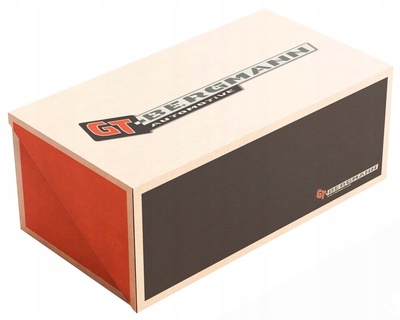 GT52049 GT BERGMANN PRZEWOD INTERCOOLERA MASTER DCI M9T - 70