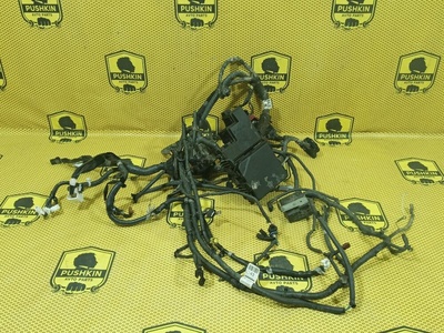 240124EJ1C Проводка подкапотная Nissan Qashqai J11 2014 , 240724EA2A