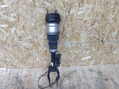 A1663206813 Амортизатор Mercedes GLS X166 2019 , A1663204666, A1663207213, A1663205666