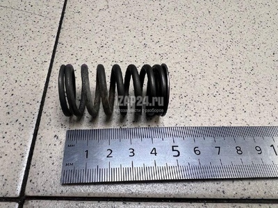 13211CK80C Пружина клапана выпускного Nissan X-Trail (T31) (2007 - 2014)