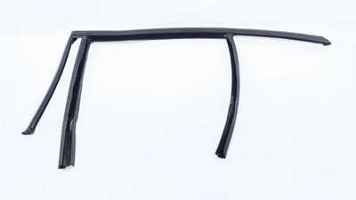 51357407405 Уплотнитель стекла двери BMW 3-Series G20 2020 , 7407405